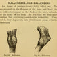 Mallenders og Sallenders meðferð