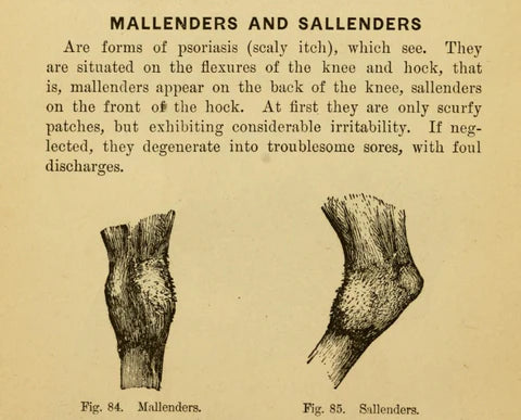 Mallenders og Sallenders meðferð