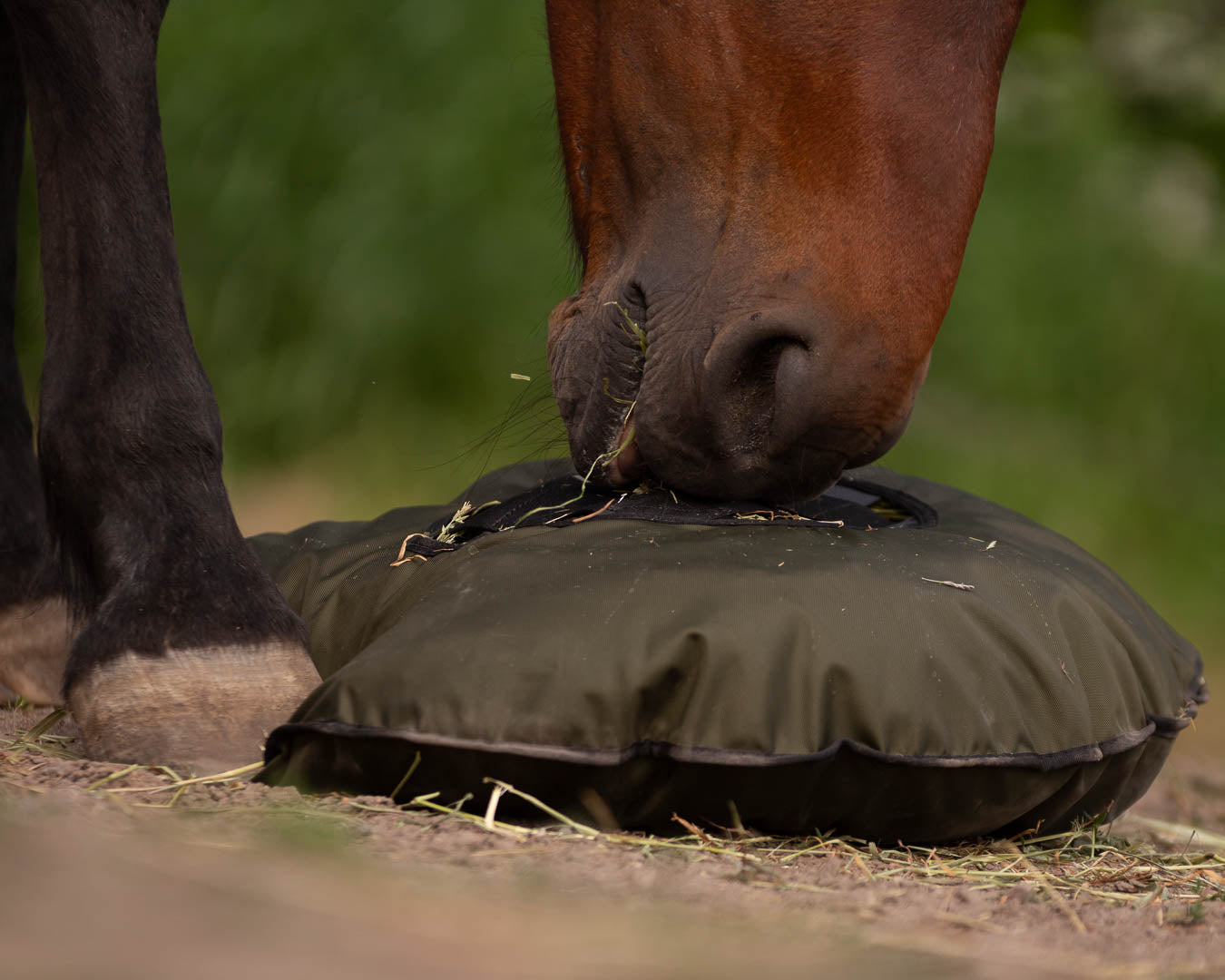 Heica® Fluffy Feeder