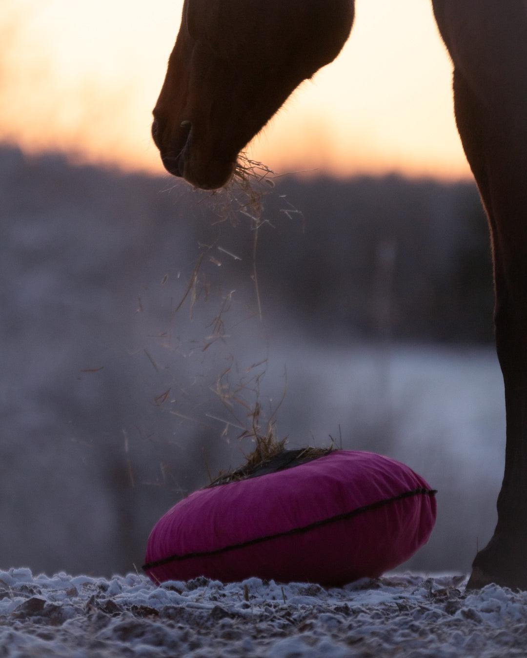 Heica® Fluffy Feeder