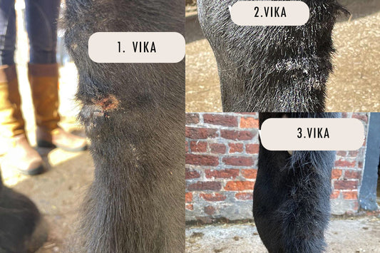 Mallenders og Sallenders meðferð