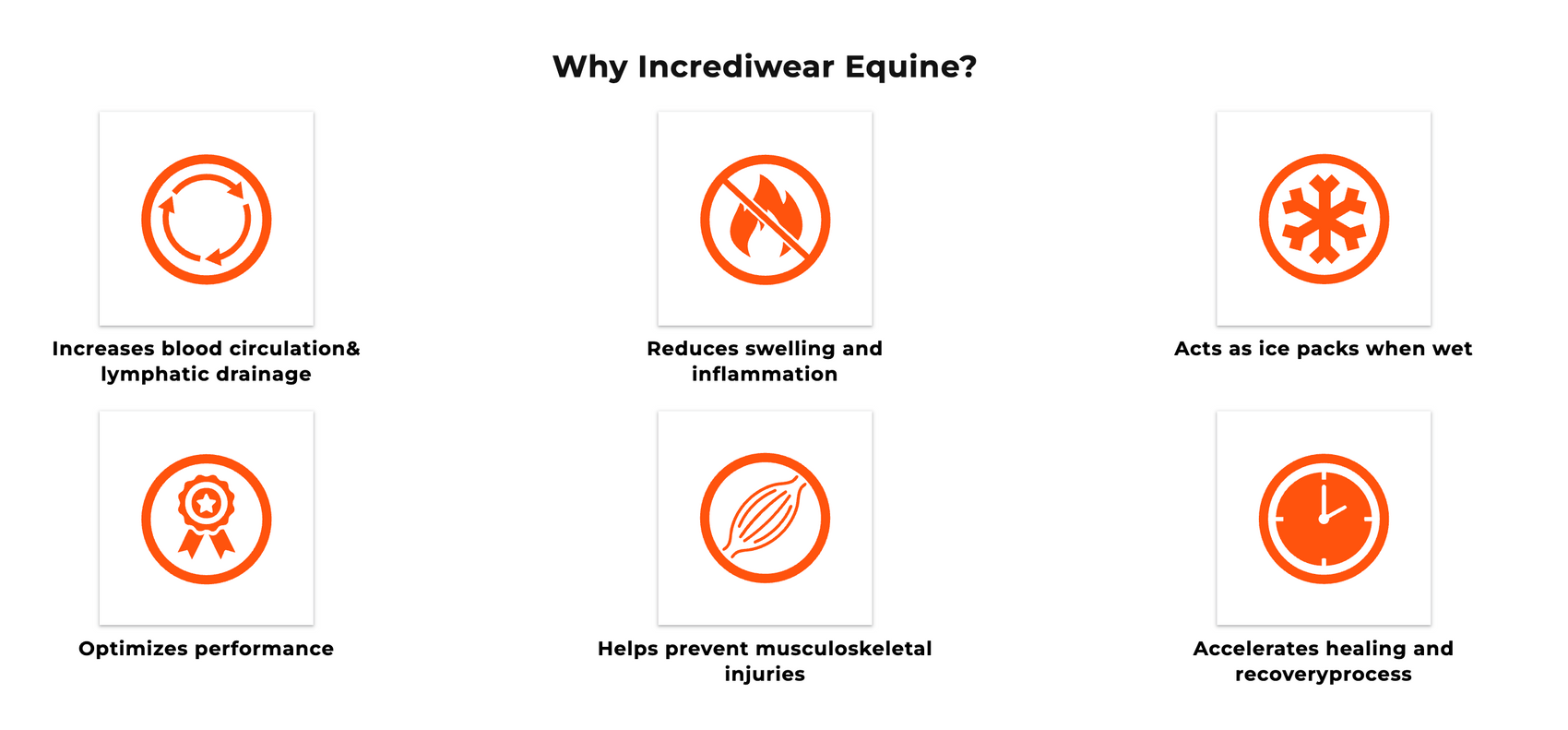 Circulation hoof socks